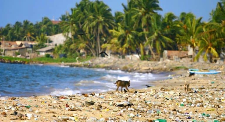 #67 La menace plastique